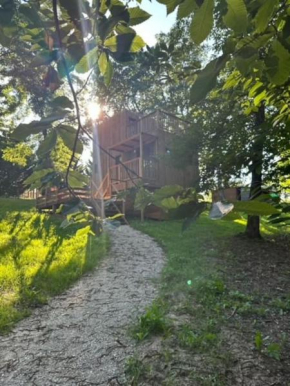 DanAya x Gîte Tiny House en forêt
